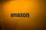 Amazon  100       -